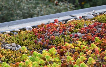 the cost of Tyn Y Garn green roof installation