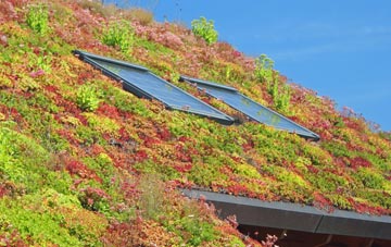 Tyn Y Garn living roof systems